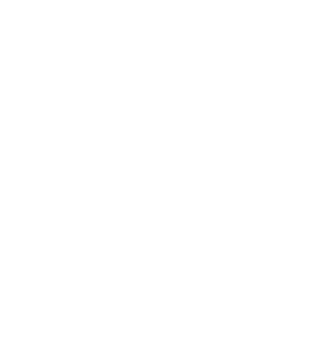 Shield Icon